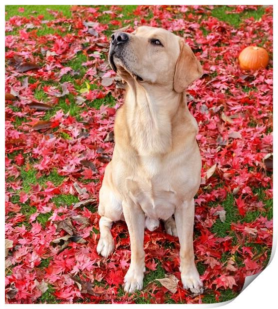 Labs and leaves Print by Michelle Bowler