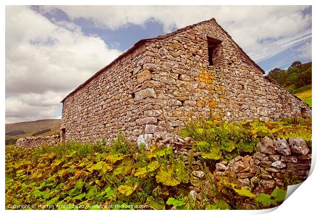 Yorkshire Stone Barn, Yorkshire Dales Print by Martyn Arnold