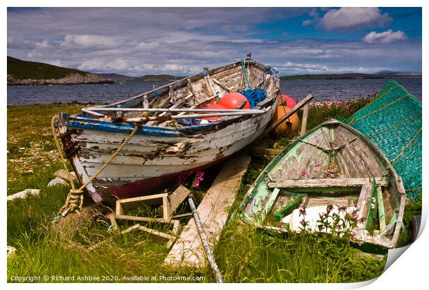 Old decaying fishing boats in Shetland Print by Richard Ashbee