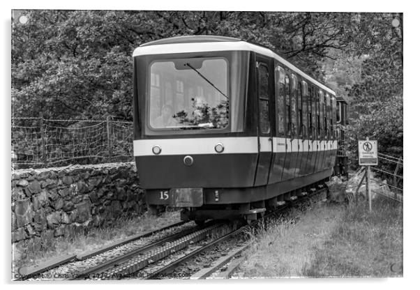 Mount Snowdon diesel train Acrylic by Chris Yaxley