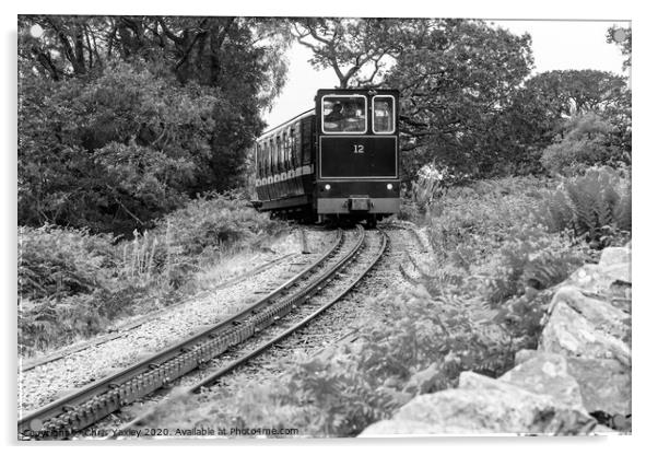 Mount Snowdon Diesel train Acrylic by Chris Yaxley