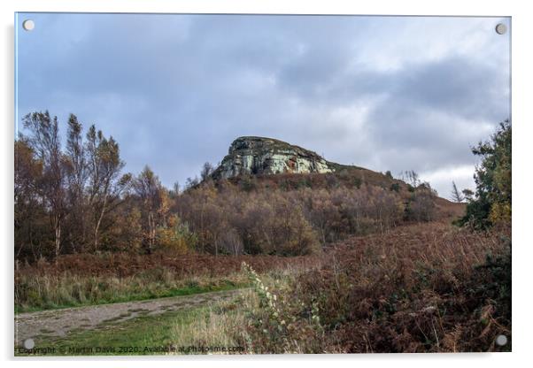 High Cliff - North York Moors - Guisborough Acrylic by Martin Davis