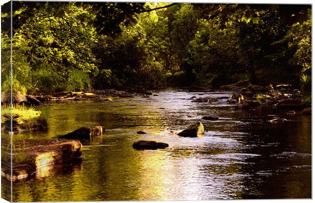 river view Canvas Print by Northeast Images