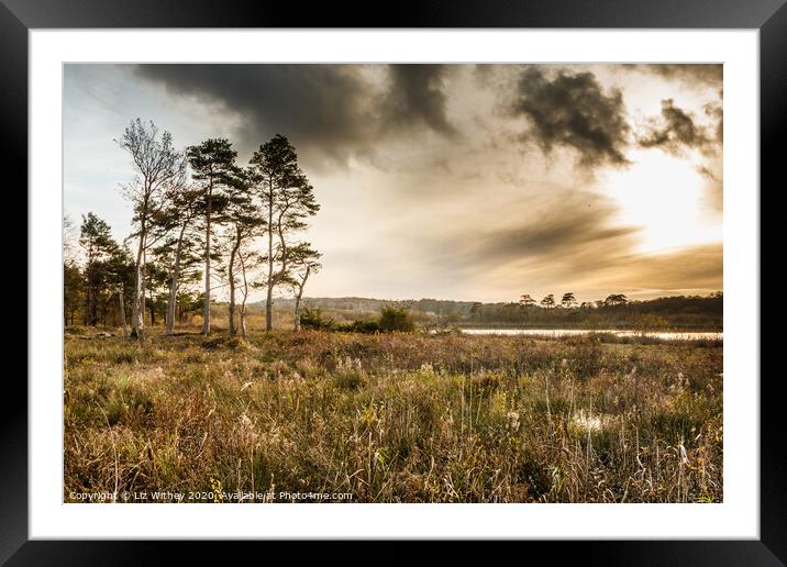 Hawswater, Silverdale, Lancashire Framed Mounted Print by Liz Withey