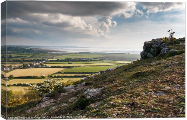 Morecambe Bay from Warton Crag Canvas Print by Liz Withey