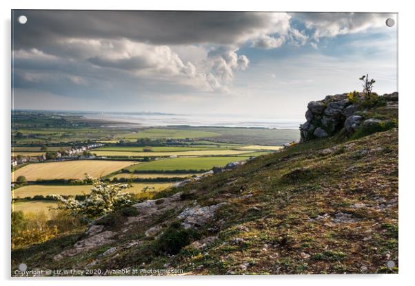 Morecambe Bay from Warton Crag Acrylic by Liz Withey