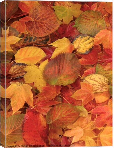 Autumn leaf Collage Canvas Print by Simon Johnson