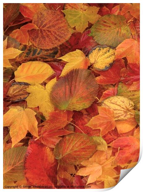 Autumn leaf Collage Print by Simon Johnson