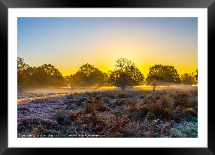 Richmond Park at dawn Framed Mounted Print by Graham Prentice