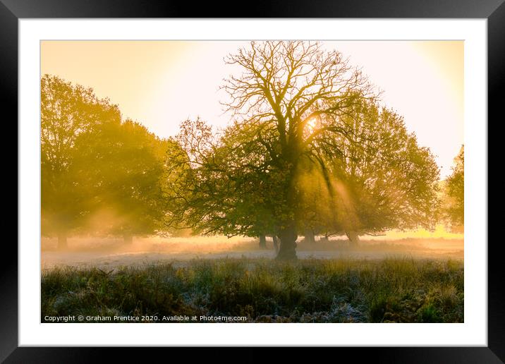 Richmond Park Sunrise Framed Mounted Print by Graham Prentice