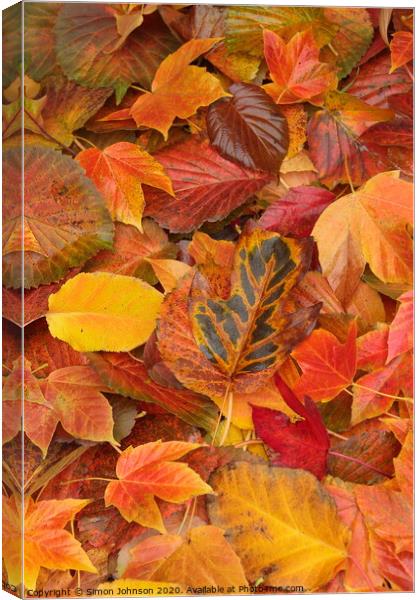 autumn leaf collage Canvas Print by Simon Johnson