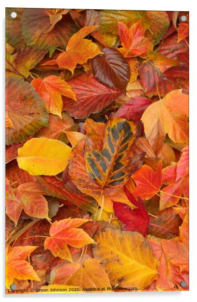autumn leaf collage Acrylic by Simon Johnson