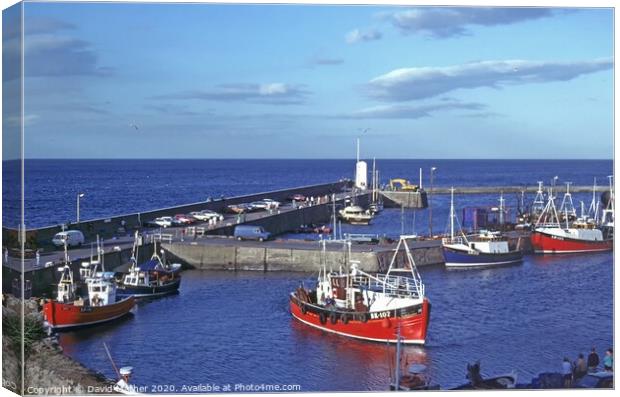 Seahouses harbour Canvas Print by David Mather