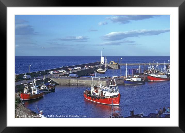 Seahouses harbour Framed Mounted Print by David Mather