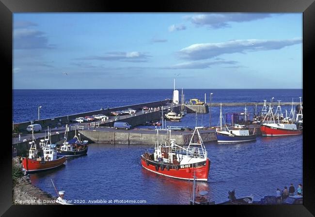Seahouses harbour Framed Print by David Mather