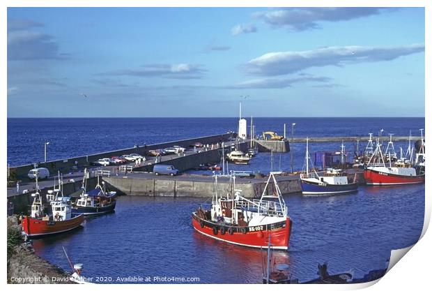 Seahouses harbour Print by David Mather