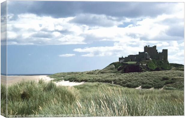Bamburgh Castle and shoreline Canvas Print by David Mather