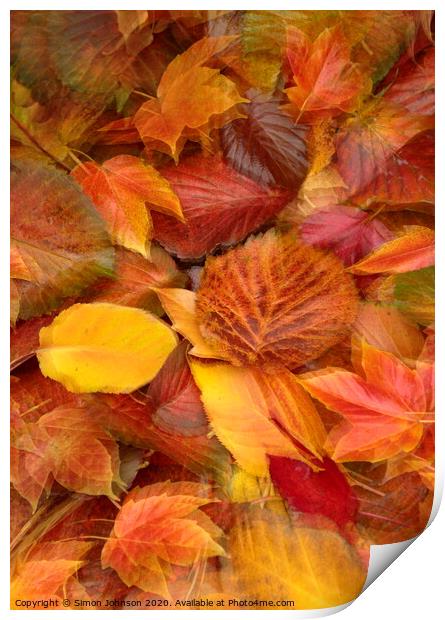Autumn leaf Collage Print by Simon Johnson
