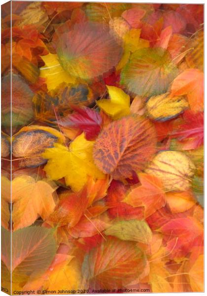 Leaf Collaghe with artistic blur Canvas Print by Simon Johnson