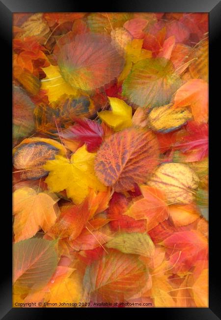 Leaf Collaghe with artistic blur Framed Print by Simon Johnson