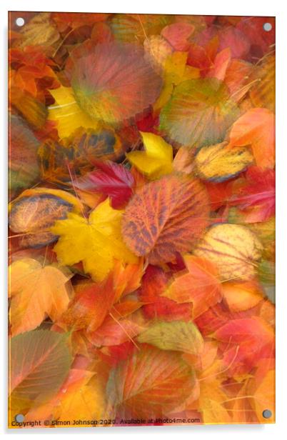 Leaf Collaghe with artistic blur Acrylic by Simon Johnson