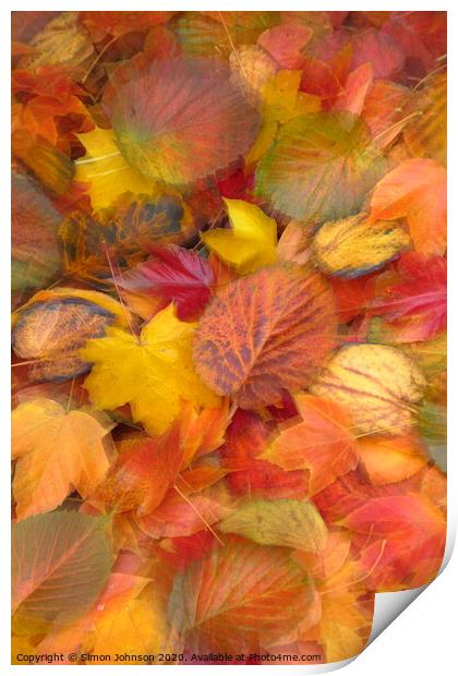 Leaf Collaghe with artistic blur Print by Simon Johnson