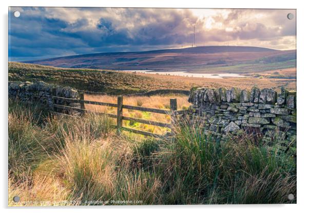 A ray of sunshine, Belmont Acrylic by Craig Cunliffe