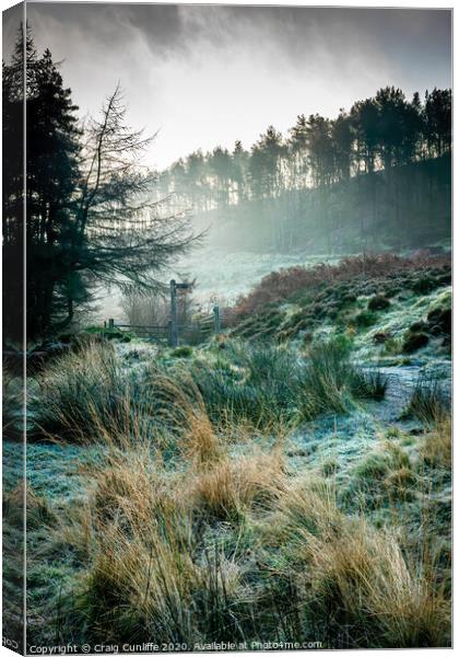 Frosty woodland morning.  Canvas Print by Craig Cunliffe