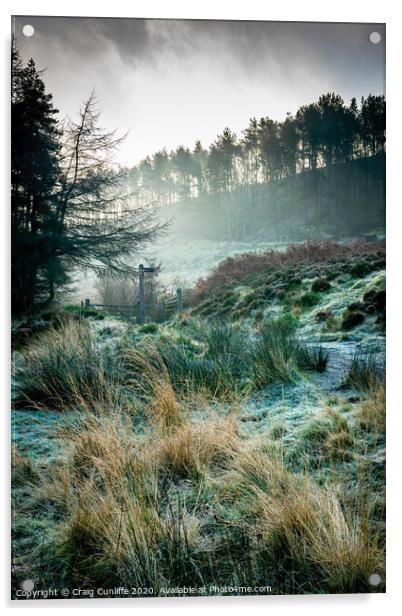 Frosty woodland morning.  Acrylic by Craig Cunliffe