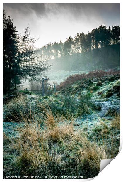 Frosty woodland morning.  Print by Craig Cunliffe