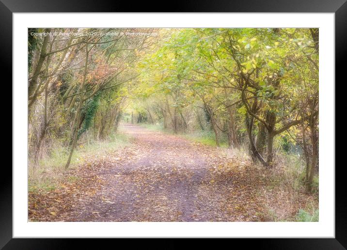 Autumn pathway. Framed Mounted Print by Peter Jones