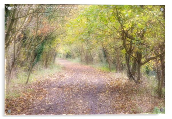 Autumn pathway. Acrylic by Peter Jones