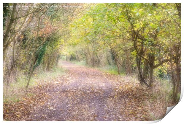 Autumn pathway. Print by Peter Jones