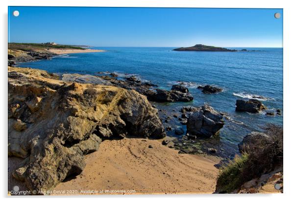 Ilha do Pessegueiro Beach View Acrylic by Angelo DeVal