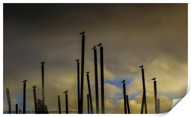 Gulls before the Storm Print by Paddy Art