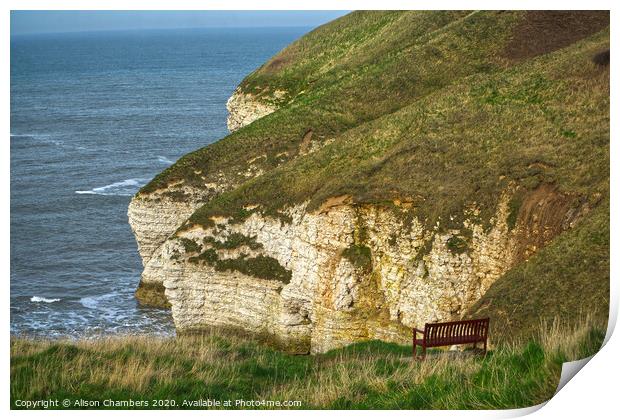 Bempton Cliffs View, North Yorkshire Coast Print by Alison Chambers