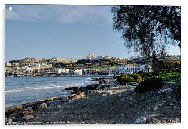 Mellieha Beach and town and Malta Acrylic by Diana Mower
