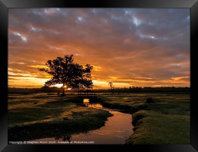 Early morning sunrise runner, New Forest National Park  Framed Print by Stephen Munn