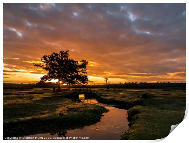 Early morning sunrise runner, New Forest National Park  Print by Stephen Munn