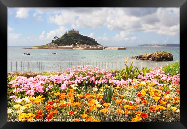 Floral Display St Michael's Mount Framed Print by Andrew Ray