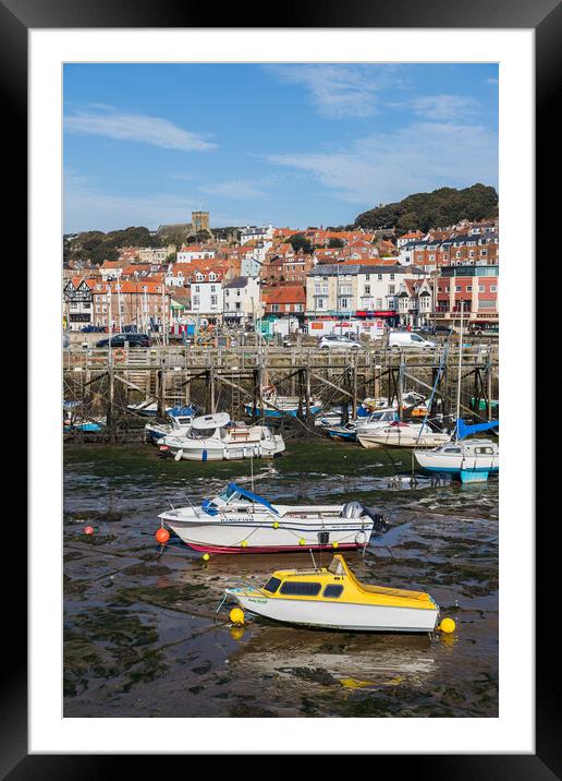 Colourful boats in Scarborough harbour Framed Mounted Print by Jason Wells