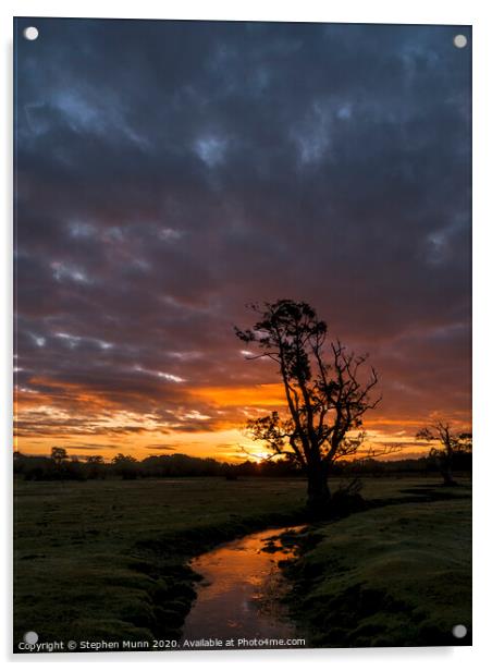 New Forest Stream Dawn Acrylic by Stephen Munn