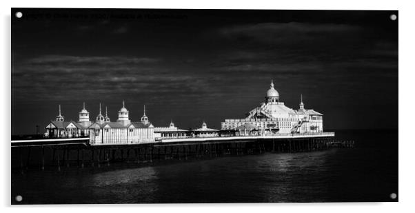 Eastbourne Pier Acrylic by Chris Harris