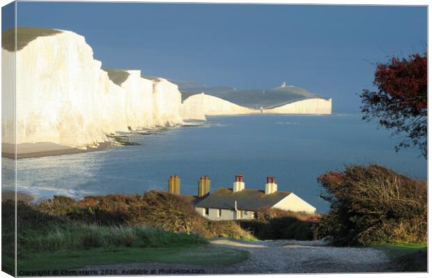 Seven Sisters from Seaford Head II Canvas Print by Chris Harris