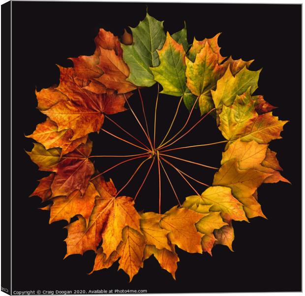 Autumnal Circle Canvas Print by Craig Doogan