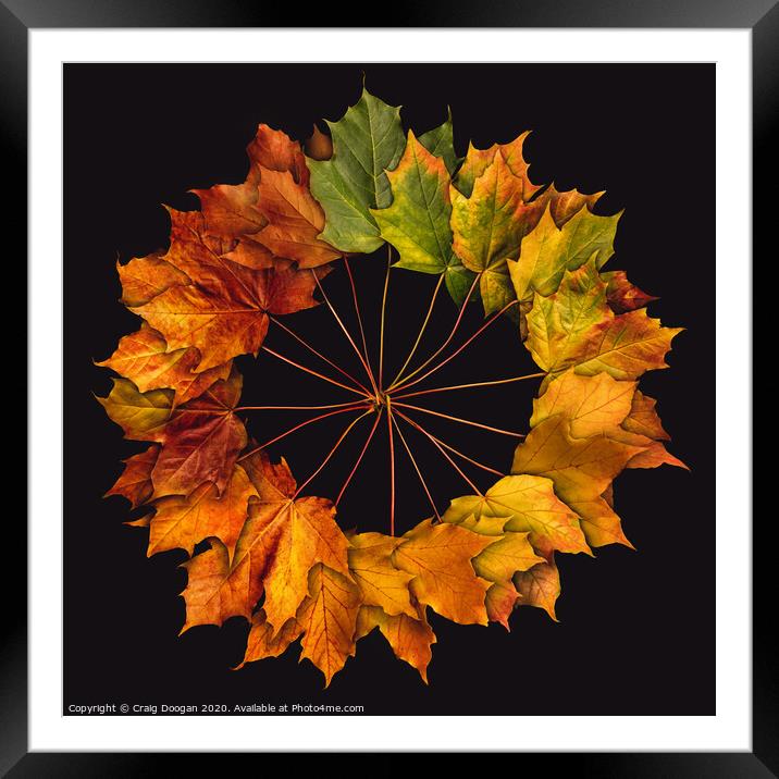 Autumnal Circle Framed Mounted Print by Craig Doogan