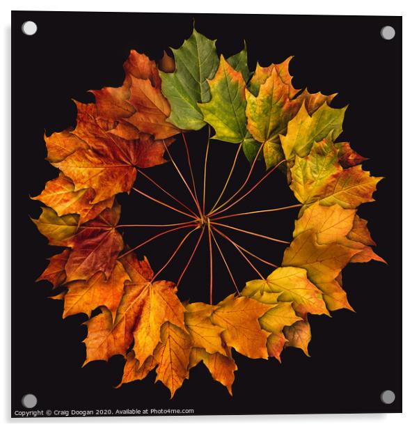 Autumnal Circle Acrylic by Craig Doogan