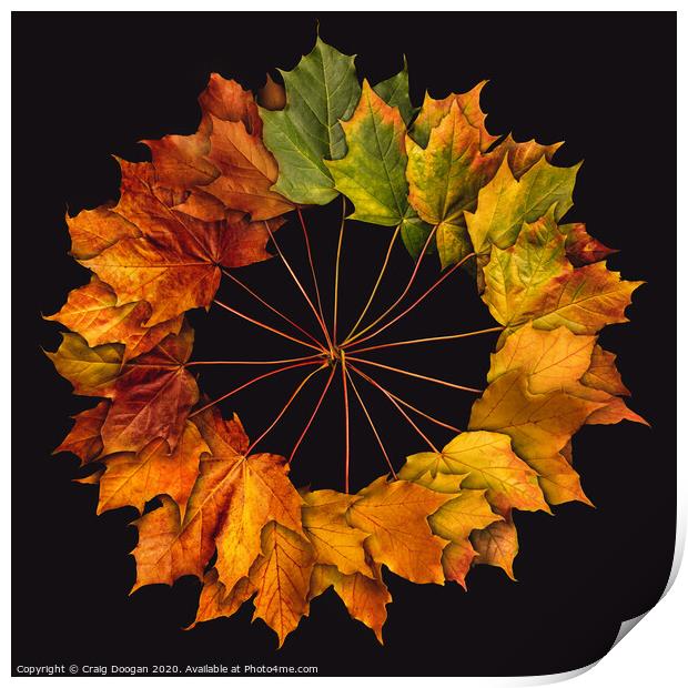 Autumnal Circle Print by Craig Doogan