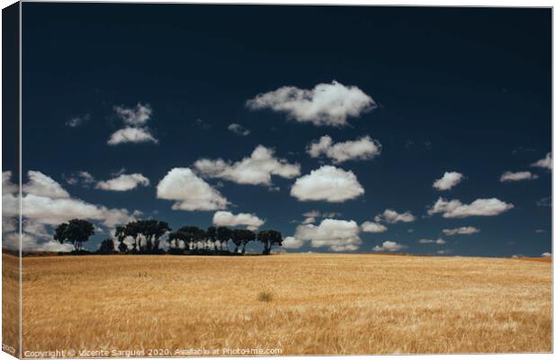 Cereal fields and clouds Canvas Print by Vicente Sargues
