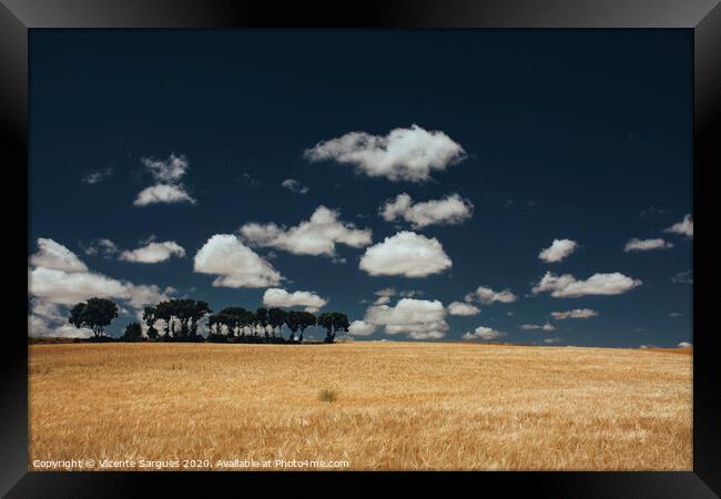 Cereal fields and clouds Framed Print by Vicente Sargues